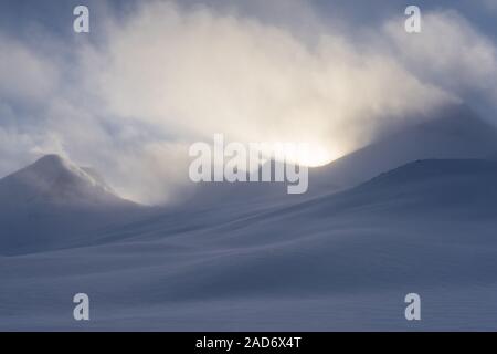 Landschaft im Schnee Drift, Stuor Reaiddavaggi, Lappland, Schweden Stockfoto