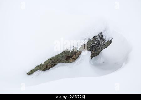 Verschneite Felsen, Lappland, Schweden Stockfoto