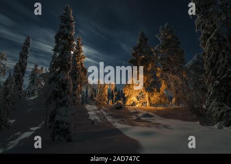 Mondbeschienene Winterlandschaft, muddus Nationalpark, Lappland, Schweden Stockfoto