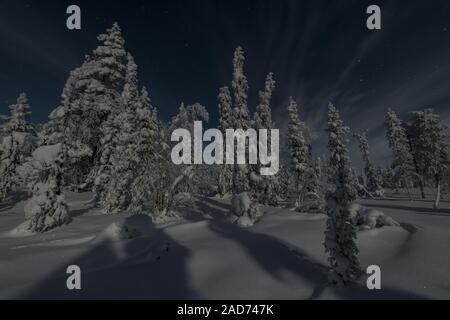 Mondbeschienene Winterlandschaft, muddus Nationalpark, Lappland, Schweden Stockfoto