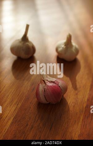 Drei Knoblauch Zwiebeln auf einem braunen Holztisch mit Sonnenlicht. Stockfoto