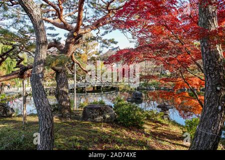 Maruyama Park in Kyoto während der momiji Herbstlaubjahreszeit Stockfoto