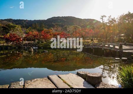 Maruyama Park in Kyoto während der momiji Herbstlaubjahreszeit Stockfoto