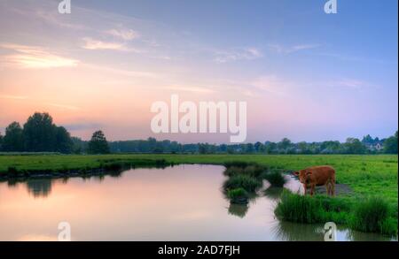 Eine der Wiese Bewohner entschieden über zu wandern, um zu sehen, was ich war bis zu! Stockfoto