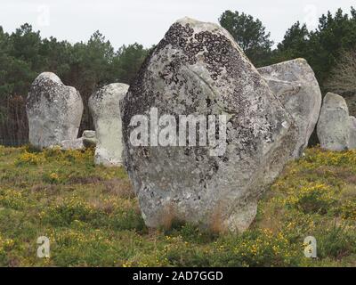 Menhire in der Bretagne - Alignements de Kerzerho Stockfoto