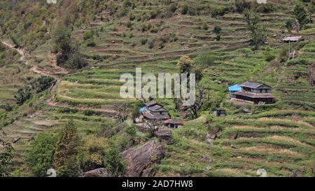 Ländliche Szene in Taulung, Annapurna Conservation Area, Nepal. Der steile Hügel und Terrassenfelder und traditionellen Gurung Häuser. Stockfoto