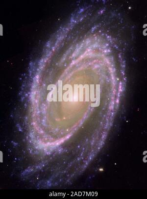 Dieses Bild kombiniert Daten aus dem Hubble Space Teleskop, das Weltraumteleskop Spitzer und die Galaxy Evolution Explorer (GALEX) Missionen. Waren die GALEX UV-Daten aus dem fernen UV-Teil des Spektrums (135 bis 175 Nanometer). Das Infrarot-weltraumteleskop Spitzer Daten mit dem Irac 4 Detektor (8 Mikron) aufgenommen wurden. Das Hubble Daten wurden an den blauen Teil des Spektrum. Objekt: M 81, NGC 3031, Bodes Galaxy Bild Typ: Astronomische Credit: Hubble Daten: NASA, ESA, und A. Zezas (harvard-smithsonian Center für Astrophysik); GALEX Daten: NASA, JPL-Caltech, GALEX Team Huchra, J. et al. Stockfoto