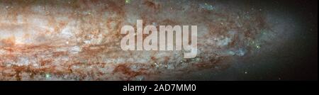 Eine Nahaufnahme von Hubble zeigt, dass NGC 253 ist in Brand mit dem Licht von Tausenden von Jungen, blaue Sterne. Die Spiralgalaxie befindet sich in intensiver Sternentstehung. Dieses Bild, mit der Hubble erweiterte Kamera für Umfragen, zeigt Farben und unterschiedlichen Intensitäten der einzelnen Stars sowie dunkle Filamente aus Gas und Staub interstellarem Staub zwischen den Sternen intersperced. NGC 253 ist der dominante Galaxie in der Bildhauer Gruppe von Galaxien und befindet sich etwa 13 Millionen Lichtjahre von der Erde entfernt. Diese Galaxie ist ein Teil einer detaillierten Erhebung, die ACS-nahen Galaxie Umfrage Treasury Programm (Angst). Die Stockfoto