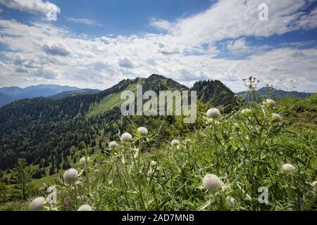 Wandern in Das Mangfallgebirge, geschliffene Schneiden im Hintergrund Stockfoto