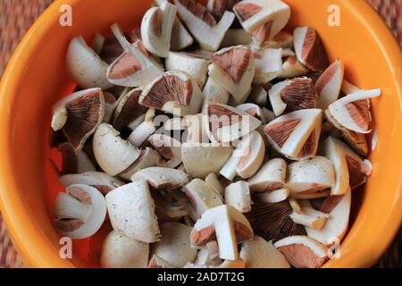 Mushroom dish Wiese pilze, pilz, Agaricus campestris, Pilz des Jahres 2018 Stockfoto