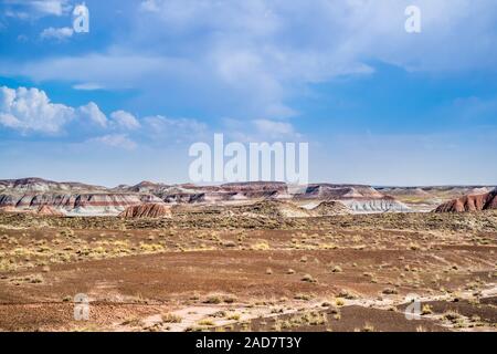 Die Blue Mesa Trail im Petrified Forest National Park, Arizona Stockfoto