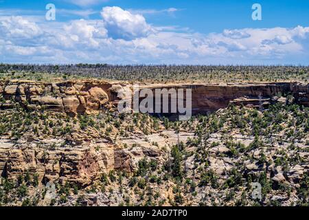 Felsige Landschaft des schönen Mesa Verde National Park, Colorado Stockfoto