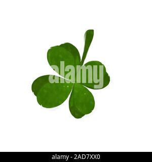 Lucky Clover Aquarell Stockfoto