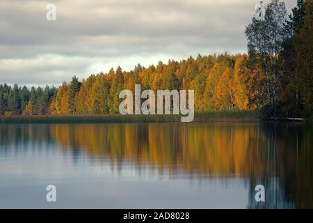 Reiche Auswahl an Farben der Herbst Wald am Ufer des ruhigen nebligen See Stockfoto