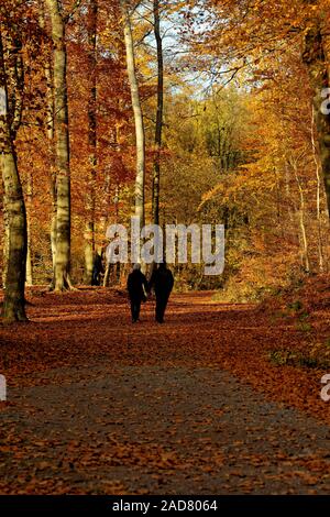 Ein paar in den Wald spazieren Stockfoto