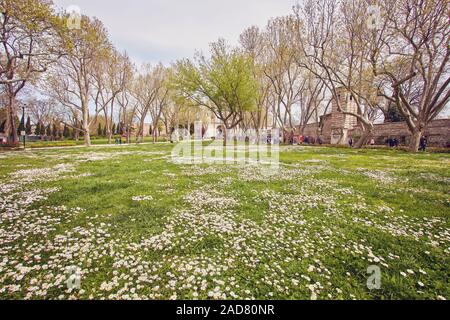 Gulhane Park ist eine historische städtische Park in Istanbul, Türkei. Stockfoto