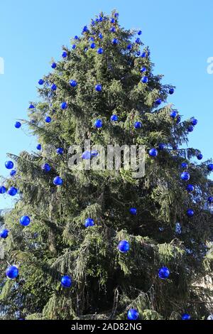 Blaue Kugeln auf großen Weihnachtsbaum Stockfoto