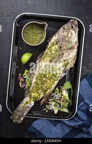 Grill Weißen Zackenbarsch mit chimichurri Sauce aji Criollo, Ansicht von oben in einem schwarzen Skillet Stockfoto