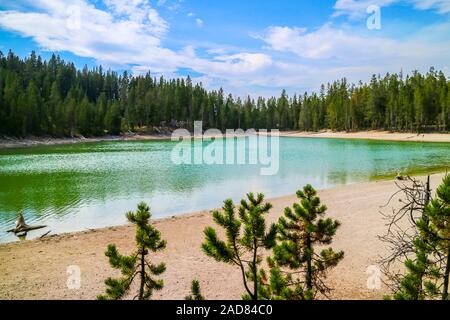 Eine sehr kleine kristallklaren See im Wald von Yellowstone Nationalpark, Wyoming Stockfoto