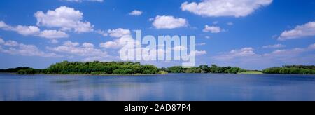 Blick auf den See in den Everglades National Park, Florida, USA Stockfoto