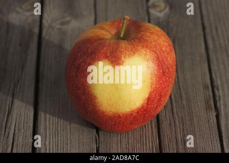 Malus Domestica Jonagored, Apple, Herz auf der Haut Stockfoto