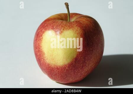 Malus Domestica Jonagored, Apple, Herz auf der Haut Stockfoto