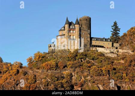 Burg Katz Stockfoto