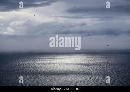 Hintergrundbeleuchtung Stimmung, Barentssee, Soeroeya Insel, Finnmark, Norwegen Stockfoto