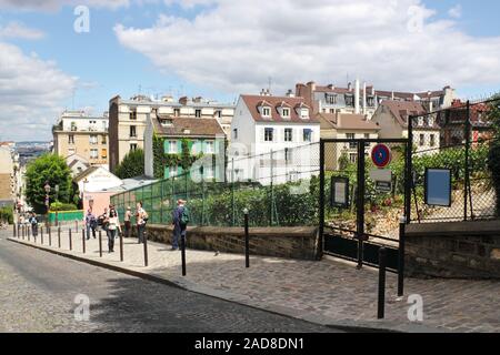 Weinberg in Montmartre Stockfoto