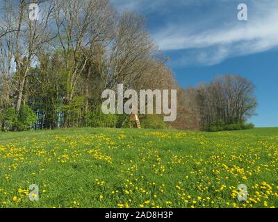 Holz- jäger Hochsitz in der Nähe von frühlingswiese Stockfoto