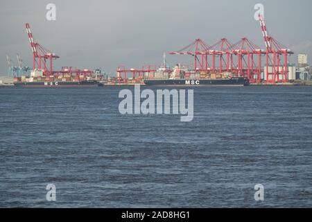 Containerbrücken stehen über Schiffe im Liverpool 2 Container dock Terminal. Liverpool 2 ist ein Container Terminal Erweiterung neben den Fluss Mersey e Stockfoto