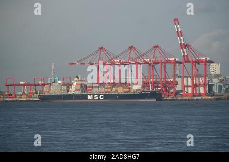 Containerbrücken stehen über Schiffe im Liverpool 2 Container dock Terminal. Liverpool 2 ist ein Container Terminal Erweiterung neben den Fluss Mersey e Stockfoto