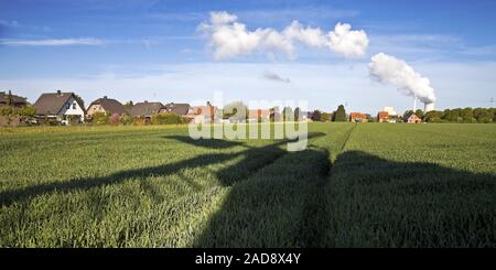 Schatten der Mühle Bierde auf ein Feld und Kraftwerk Heyden, Petershagen, Deutschland Europa Stockfoto