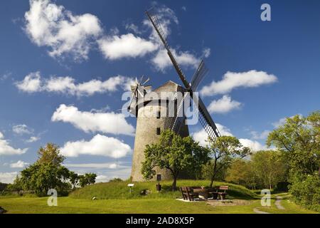 Wind Mill Seelenfelder Koenigsmuehle, Petershagen, Nordrhein-Westfalen, Deutschland, Europa Stockfoto