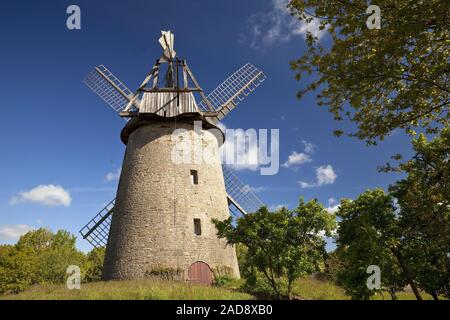 Wind Mill Seelenfelder Koenigsmuehle, Petershagen, Nordrhein-Westfalen, Deutschland, Europa Stockfoto