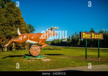 Eine Einfahrt auf der Ranch von Mackinac Island, Michigan Stockfoto