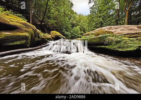 Rapids genannt Irreler Wasserfälle der Naturpark Südeifel, Irrel, Eifel, Deutschland, Europa Stockfoto