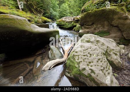 Rapids genannt Irreler Wasserfälle der Naturpark Südeifel, Irrel, Eifel, Deutschland, Europa Stockfoto