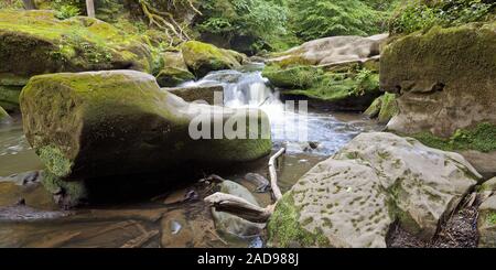 Rapids genannt Irreler Wasserfälle der Naturpark Südeifel, Irrel, Eifel, Deutschland, Europa Stockfoto