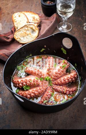 Traditionelle griechische Tintenfische geschmort mit Tomaten und Kräutern in Ouzo Sauce als closeup in einer gusseisernen Pfanne gekocht Stockfoto