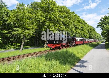 Molli, historische Dampfeisenbahn, Kühlungsborn, Mecklenburg-Vorpommern, Deutschland, Europa Stockfoto