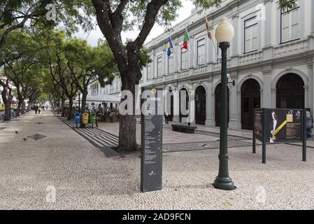 Avenida Arriaga, Promenade, Funchal, Madeira, Portugal, Europa Stockfoto