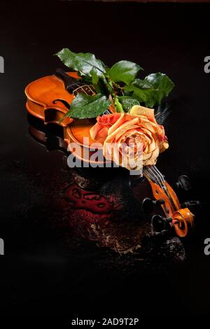 Rose und Violine Stockfoto