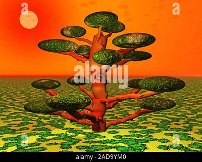 Fairy Tree bei Sonnenuntergang auf der Wiese Stockfoto