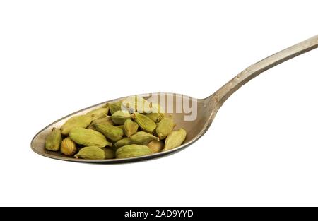 Trocknen Fenchel Samen in einem Löffel auf einem weißen Hintergrund. Gewürz zu isolieren. Blick von oben. Close-up. Stockfoto