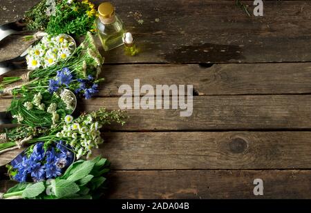 Frische Kräuter. Medizinische Kräuter (Kamille, Wermut, Schafgarbe, Pfefferminze, Johanniskraut und Zichorie) auf einem alten Holz- Board. Stockfoto