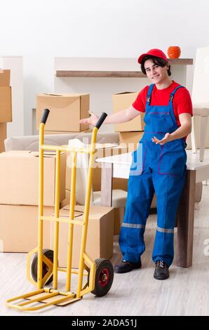 Junge männliche Auftragnehmer mit Feldern arbeiten im Innenbereich Stockfoto