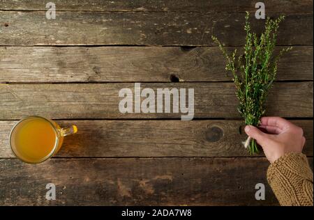 Frische Kräuter. Medizinische Kräuter (Kamille, Wermut, Schafgarbe, Pfefferminze, Johanniskraut und Zichorie) auf einem alten Holz- Board. Stockfoto