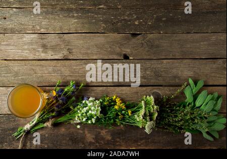 Frische Kräuter. Medizinische Kräuter (Kamille, Wermut, Schafgarbe, Pfefferminze, Johanniskraut und Zichorie) auf einem alten Holz- Board. Stockfoto