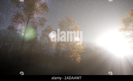 Milchstraße Sterne mit Moonlight oben Pinien Wald Stockfoto